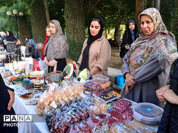 پویش «تکیه گاه» در پارک باغ ایرانی کرج 