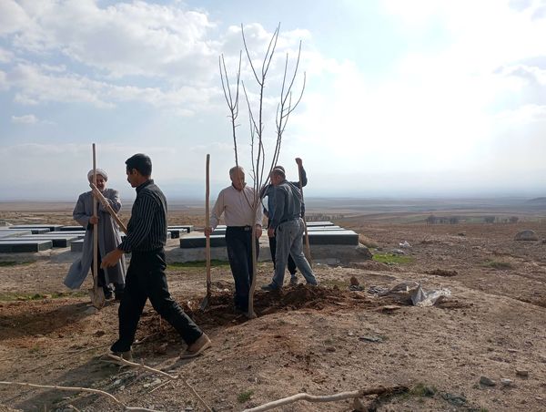 کاشت نهال در آرامستان روستای گزکوه