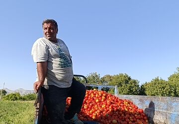 آبیاری نوین؛ نفسی تازه‌ برای زمین‌های کشاورزی روستای  اسلام آباد سملقان 