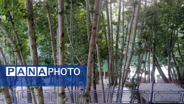 باغ بهادران؛ بهشت کوچکی در اصفهان