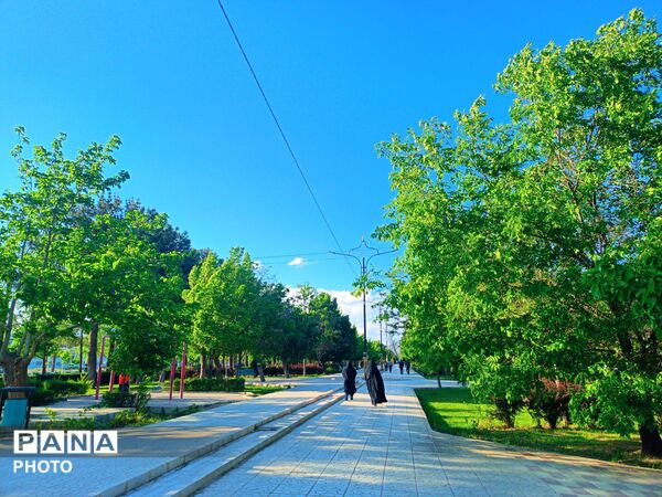  بزرگترین پارک خطی شرق کشور سرسبز تر از همیشه