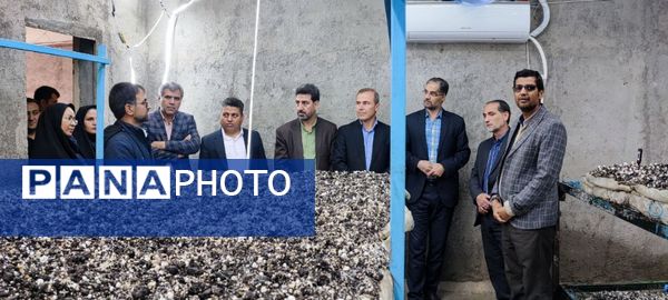 بازدید مدیر کل دفتر فنی و حرفه‌ای و کار دانش وزارت آموزش و پرورش از شهرستان سملقان