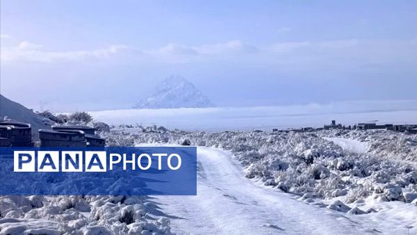 سفیدپوش شدن روستاهای یزد به روایت تصویر