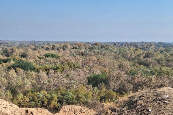 بازدید از فتح المبین در اردوی راهیان نور