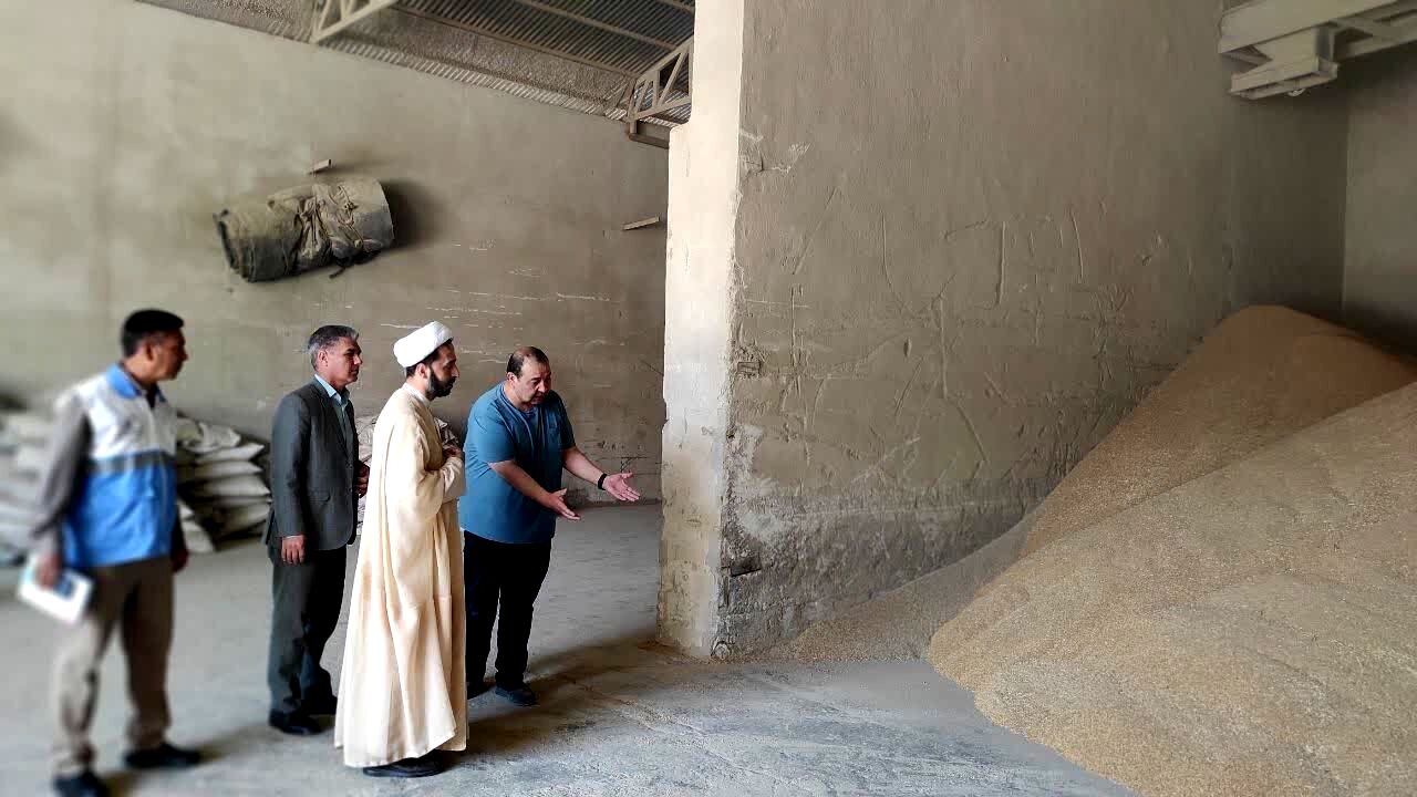 بر خرید و نگهداری گندم در مراوه‌تپه نظارت دقیق اعمال می‌شود