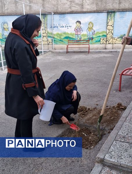 زینت بخشی مدارس شهرستان قدس با کاشت نهال های جوان