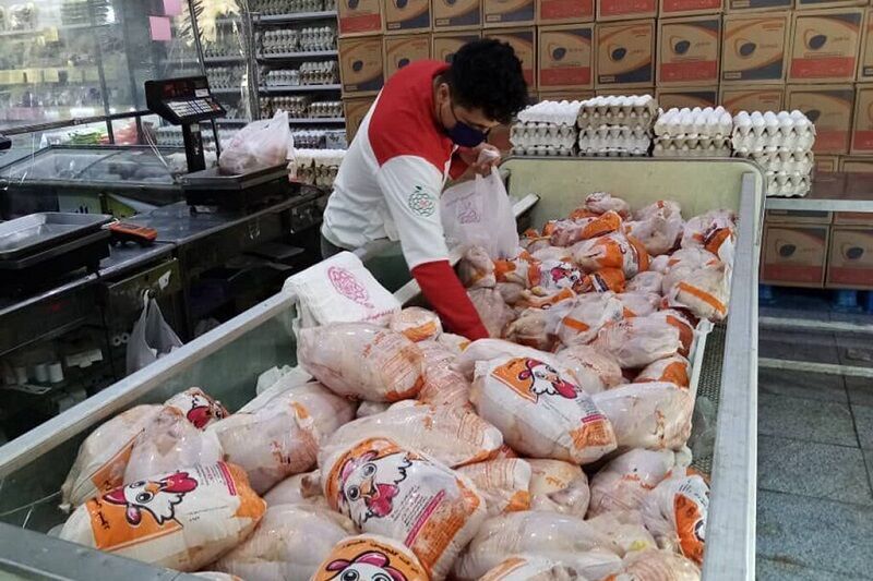 تولید مازاد گوشت و مرغ در کشور