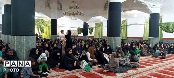 همایش شیرخوارگان حسینی در شهرستان میناب