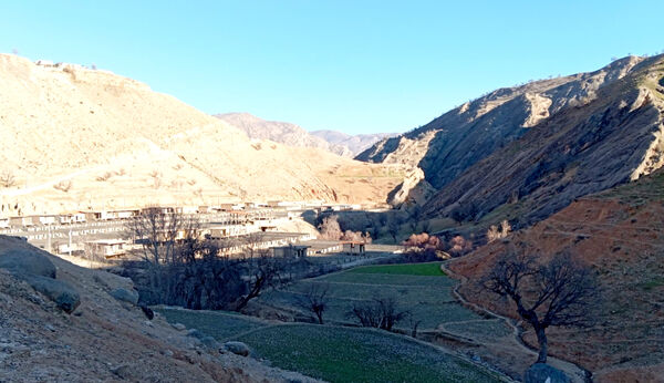 طبیعت بکر رفن در قاب‌ پانا