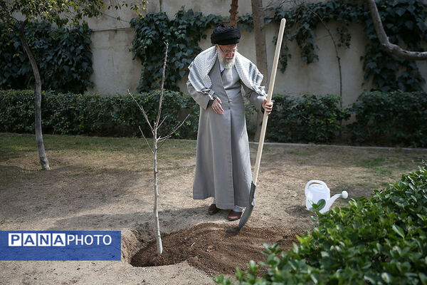 کاشت سه نهال توسط رهبر انقلاب در روز درختکاری
