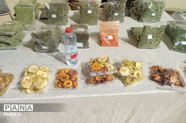 نمایش آثار هنری و مشاغل خانگی در کاروانسرای زکی‌خانی زرقان