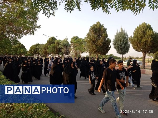 دل به دل، قدم به قدم مسیر عشق اربعین