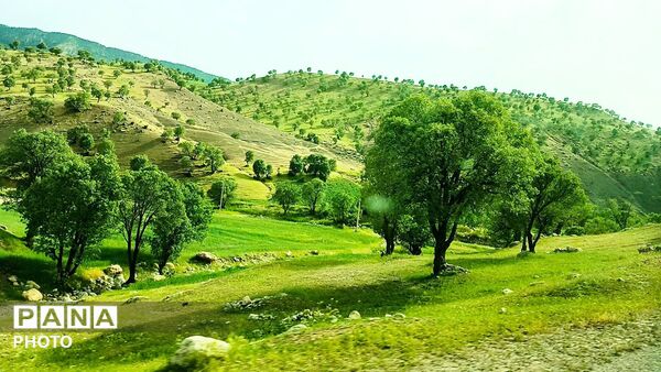 معمولان؛ نگین سرسبز زاگرس در آغوش لرستان