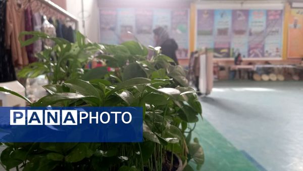 بهنمیر به استقبال بهار رفت