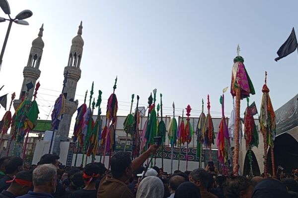 پیوند میراث چهارصدساله با اندوه کودکان شجره طیبه