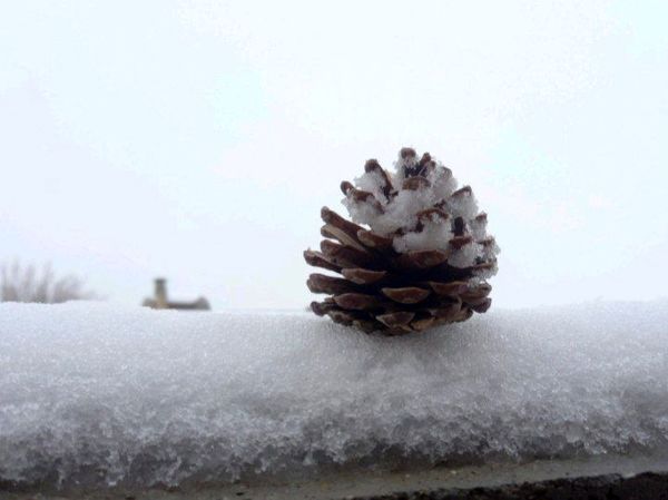 برف زمستانی، مهمان شهرستان کیار