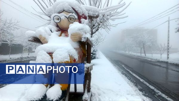 بارش برف در ارتفاعات شاندیز