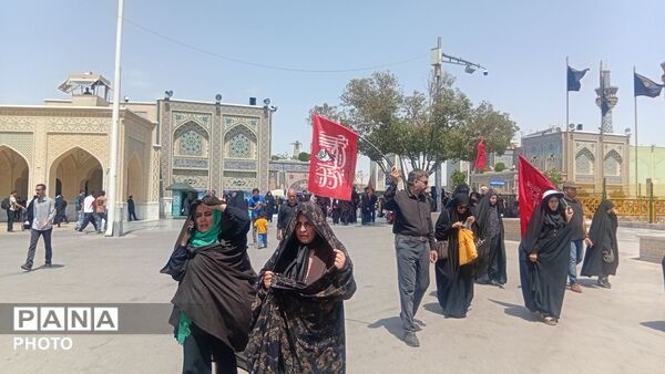 از کربلا تا خراسان؛ تپشِ یک دل در دو حرم