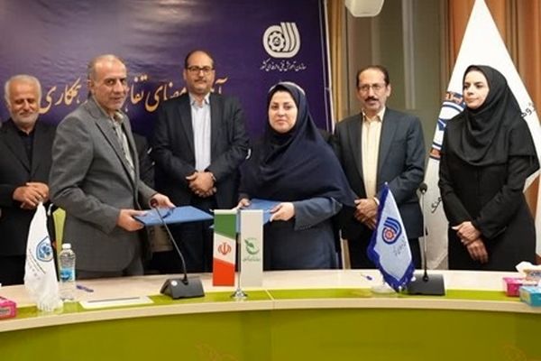 ایجاد پیوند بین نظام آموزش مهارتی و آموزش‌وپرورش غیردولتی