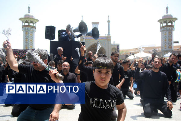 عزاداری تاسوعای حسینی(ع) در حرم حضرت معصومه(س)