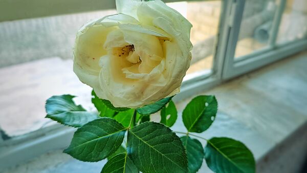 گعده میز هنر ( محله باهنر) شهرستان مارگون با محوریت کلاس‌های آموزشی، تربیتی و عرفانی