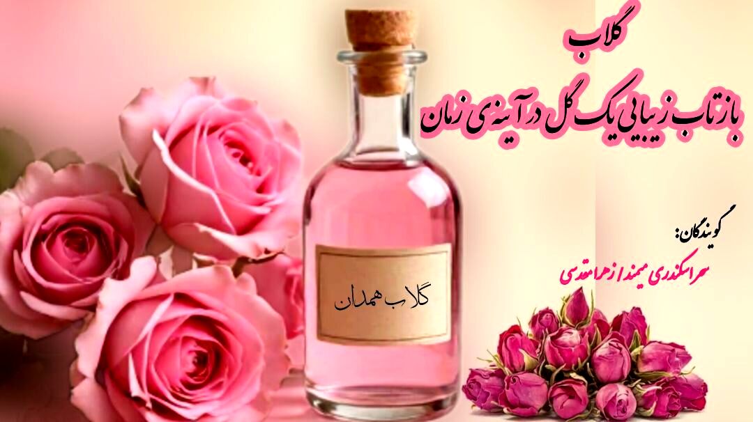 گلاب؛ بازتاب زیبایی یک گل در آینه زمان