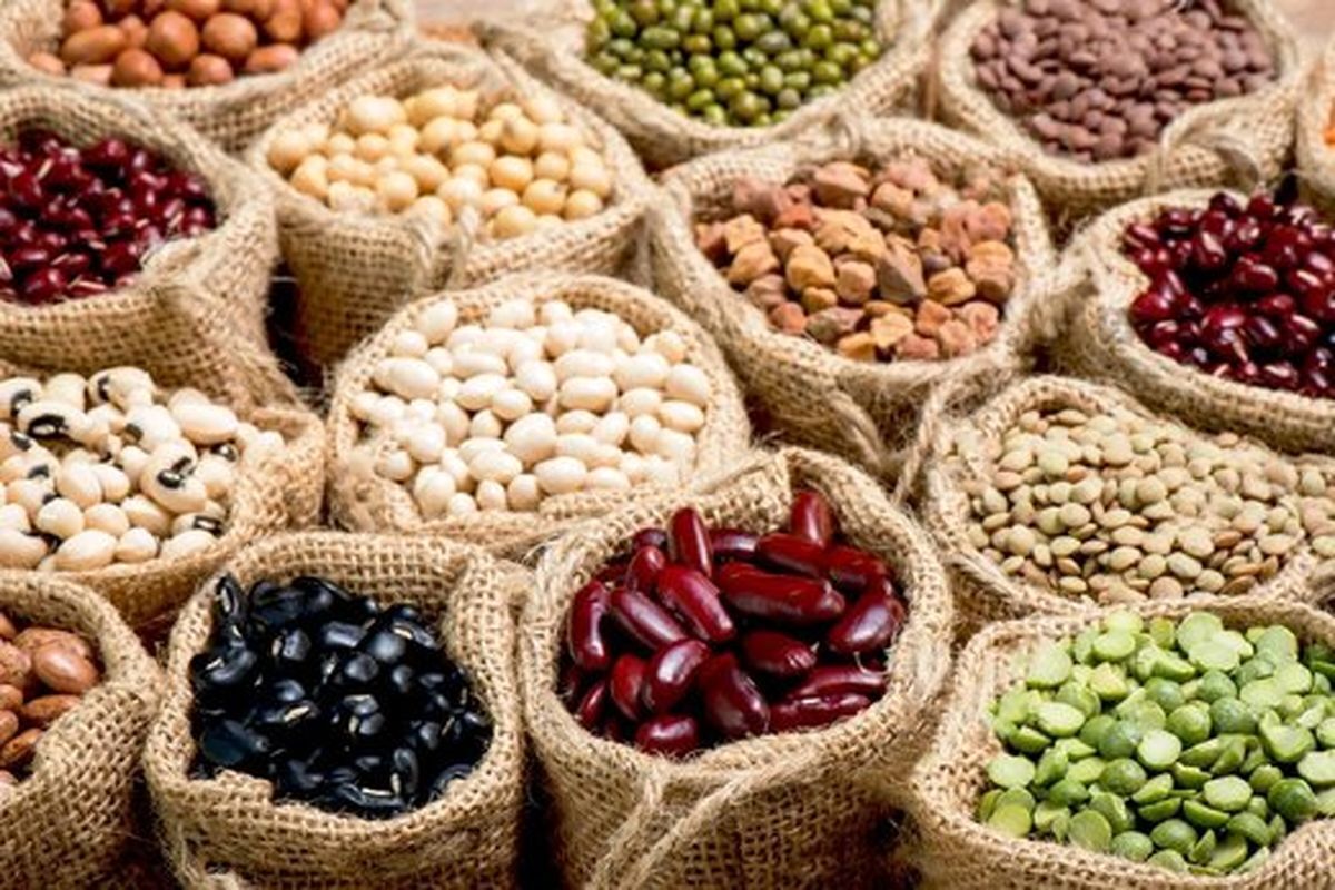 فاصله قیمتی حبوبات از مزرعه تا بازار؛ دلالان یک پای گرانی‌ها