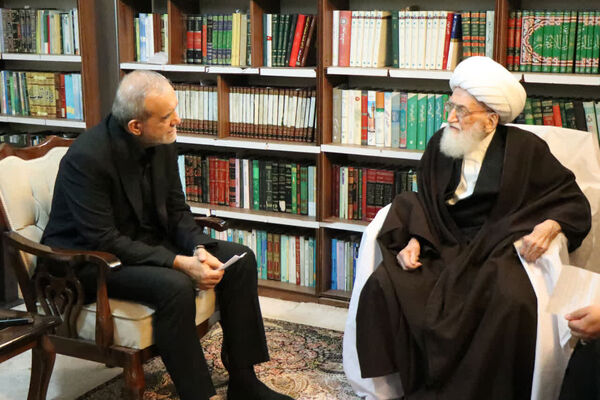 آیت الله نوری همدانی: از رئیس جمهور حمایت می کنیم/ ایجاد اختلاف به ضرر جریان انقلاب است