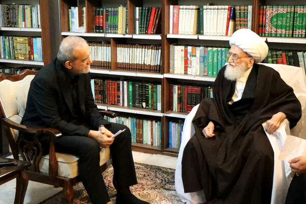 آیت الله نوری همدانی: از رئیس جمهور حمایت می کنیم/ ایجاد اختلاف به ضرر جریان انقلاب است
