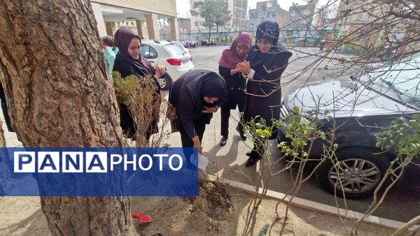زینت بخشی مدارس شهرستان قدس با کاشت نهال های جوان
