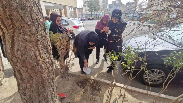 زینت بخشی مدارس شهرستان قدس با کاشت نهال های جوان