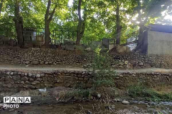 قاب‌هایی از آرامش در روستای ولیان