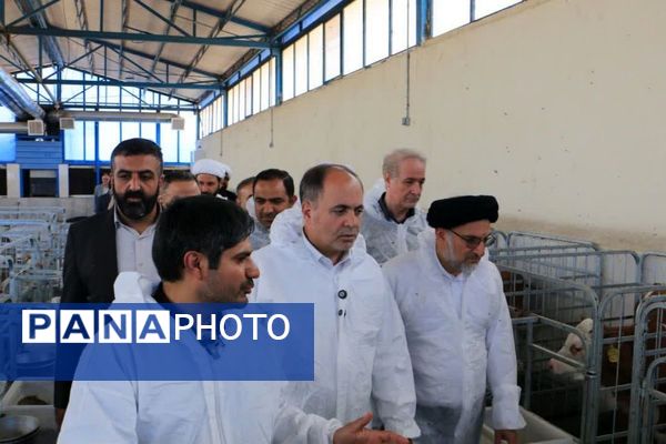 آیین افتتاح شرکت سینا فناوران ماندگار در شهرستان ملارد 