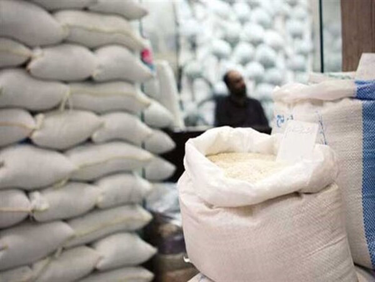 برنج ارزان می‌شود؟