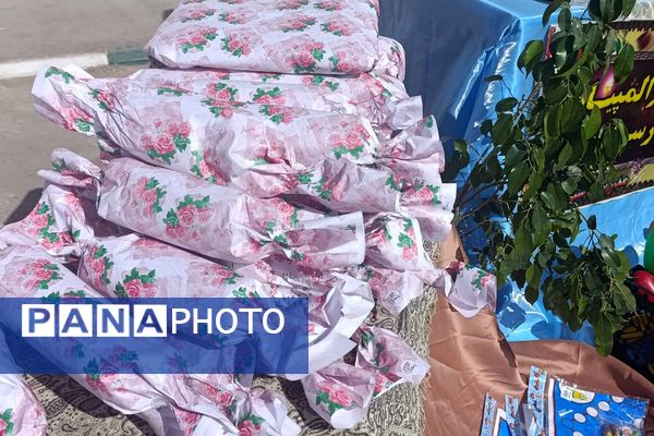 شور و نشاط پارالمپیکی در قاب مدرسه استثنایی نور ۲ وحیدیه