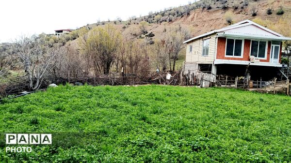 میانکوه شاهد فصل رویش گیاهان