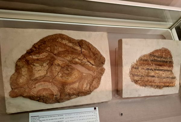 گشتی در تاریخ؛ از مدرسه دارالفنون به سمت دوره ایران باستان