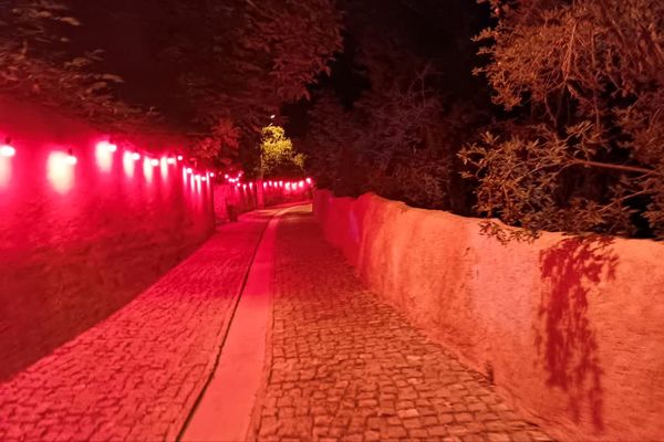 عشق به حسین (ع) سالار شهیدان کربلا چه میکند 