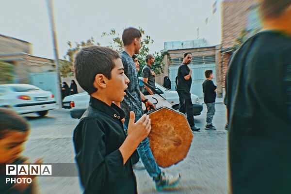 شهر بهمن در سوگ هشتمین اختر امامت