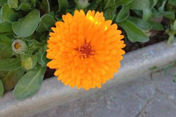 حالِ خوبِ بهار در پارک معلم ملایر