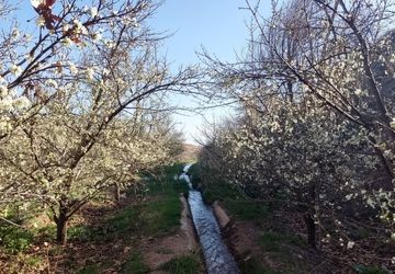 نیشابور در میزبانی از بهار در جشن باستانی سیزده بدر