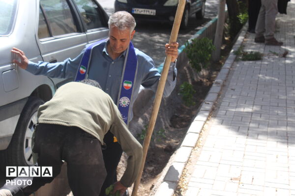 کاشت درخت به نام شهدا