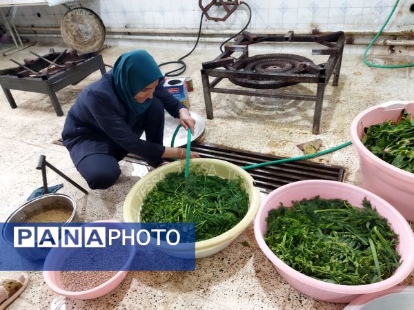 فضاسازی اردوی تمشک توسط دانش‌آموزان و فرهنگیان شهر راز