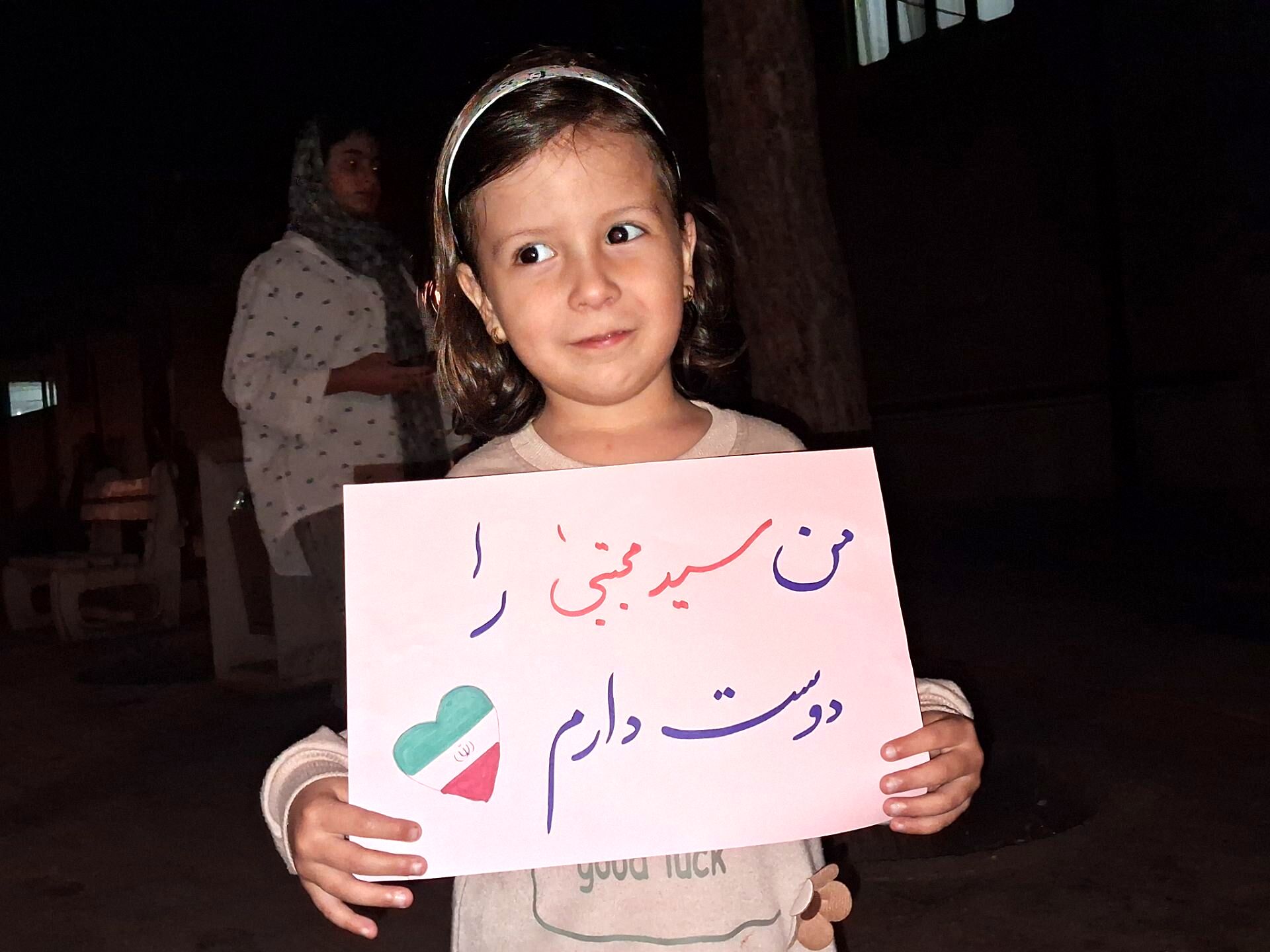 لشکری از دلدادگان این خاک 