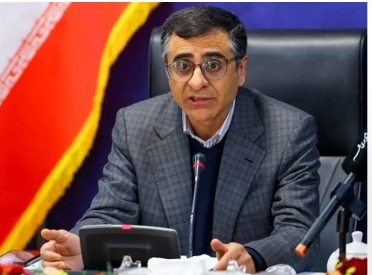 اعلام عواملی که سبب اخلال در بازار ارز شد