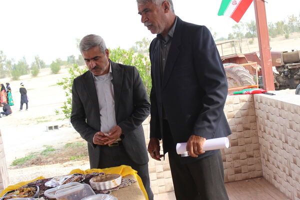 جشنواره غذا و صنایع دستی در اردوی تمشک دختران استان بوشهر