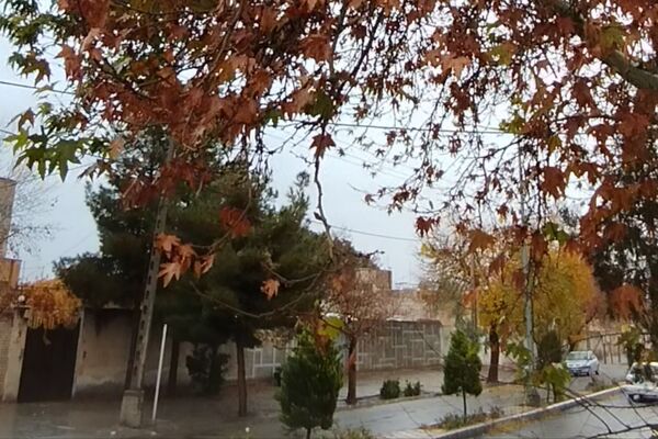 جلوه هایی از باران پاییزی در کاشمر