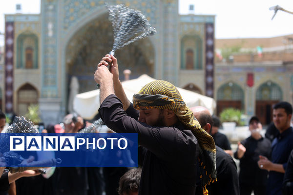 عزاداری شهادت دختر سه ساله امام حسین(ع) در قم