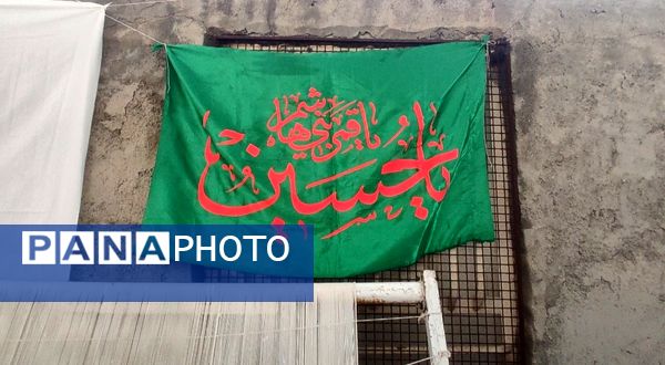 قاب های ماندگار از روستای شیاسی در استقبال از پرچم متبرک حرم امام حسین(ع)