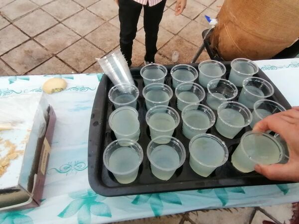  بزرگداشت شهدای ۱۵خرداد در گلزار شهدای شیراز